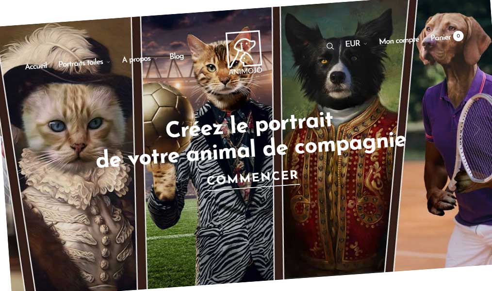Des portraits animaliers décalés.
