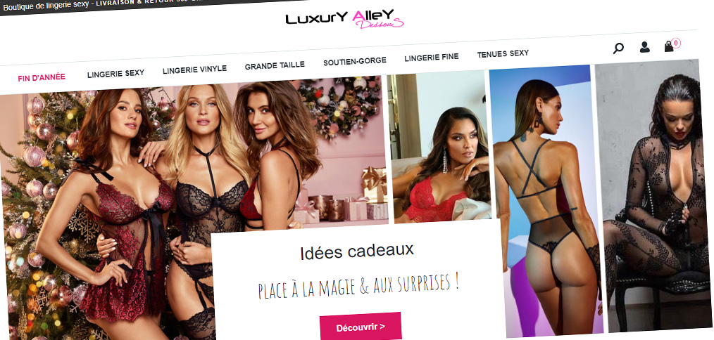 Dessous féminins sexy pour toutes les occasions.