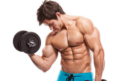 Nos réductions fitness et musculation