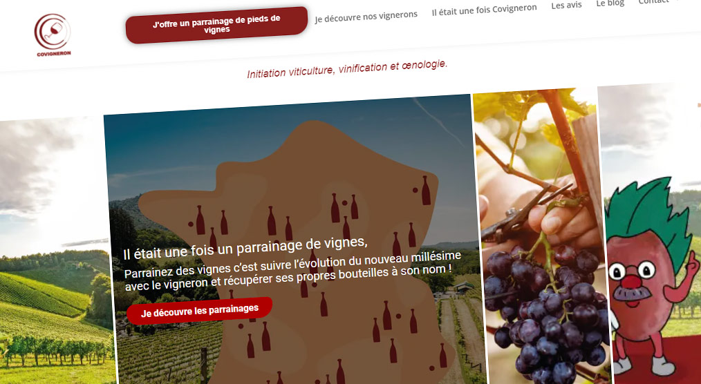 Le parrainage de pieds de vignes.
