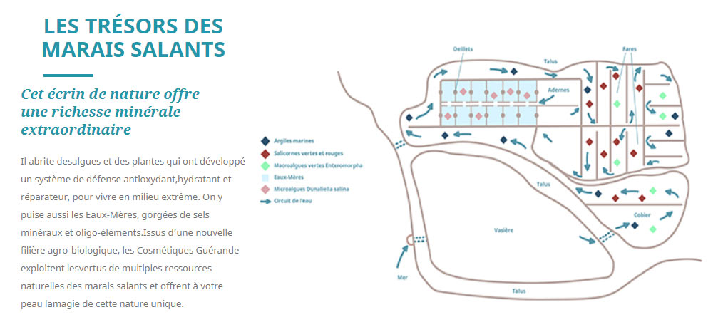 Les trésors des marais salants.