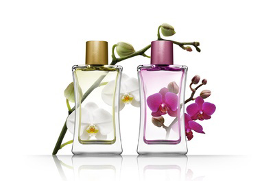 Nos réductions parfums