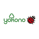 Yokono